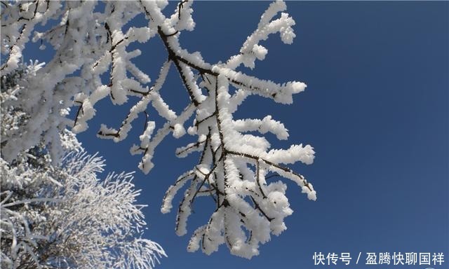 满山|如梦如画！通渭华家岭满山雾凇醉游人