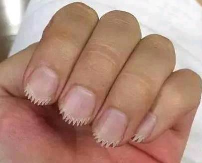 |搞笑图片幽默段子笑话兄弟你也太胆小了,胆子没女生大哈哈