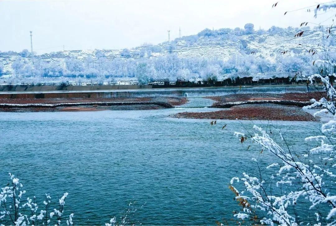 深冬|在洮河湿地公园，来一场深冬邂逅！