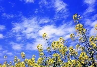 诗人@南宋这首诗曾入选民国语文教材,开篇美不胜收,颔联寓意深远