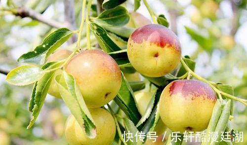 心脑血管|冬枣的功效与作用，冬枣竟有如此功效！