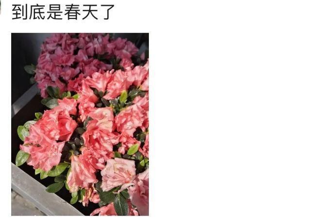 捕获春天 你用什么方式？！