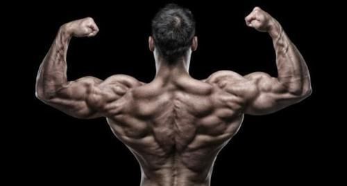 手臂|做不了引体向上,就不配拥有发达的背肌吗新手有更好的练背选择