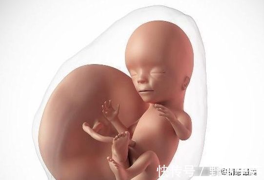 宝宝|怀孕期间, 你知道孕妈熬夜玩手机时, 腹中的“胎宝”在干什么