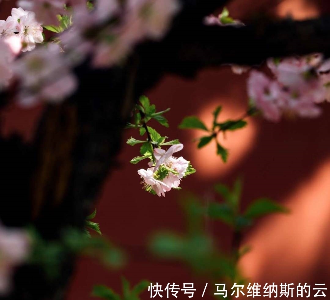 刘禹锡|刘禹锡很经典的一首诗,短短28字成千古名篇,第3句太惊艳