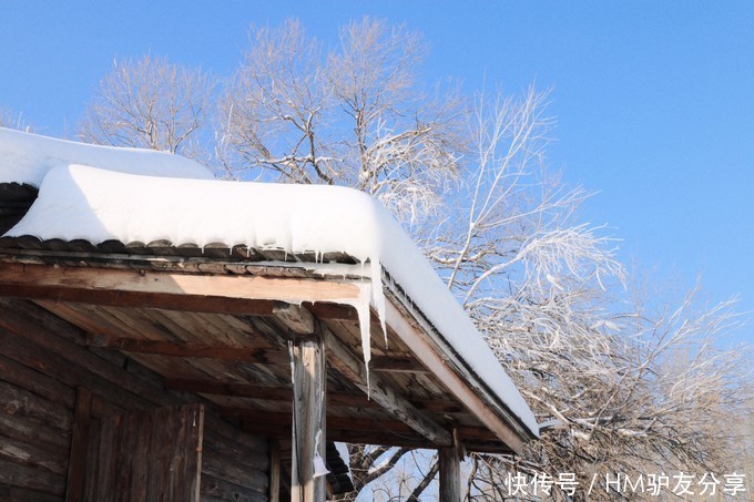 冬季|这个冬季，一起去哈尔滨，陪你看今年的第一场雪