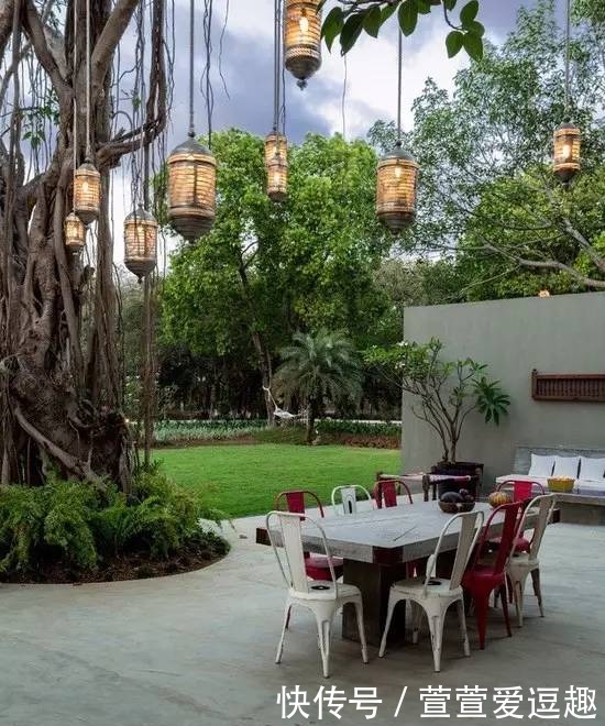 庭院种什么树最吉利，还好看？