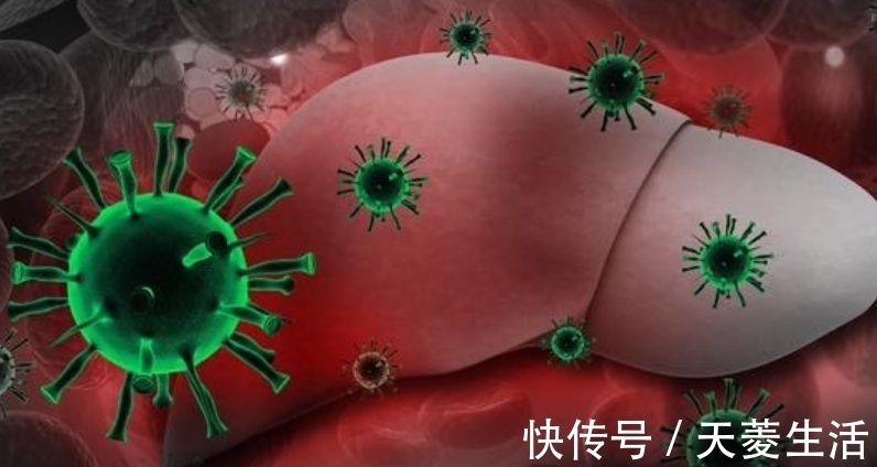 肝炎|肝癌并非一定无药可救,常吃3种食物,清除肝毒,拒绝肝脏癌变