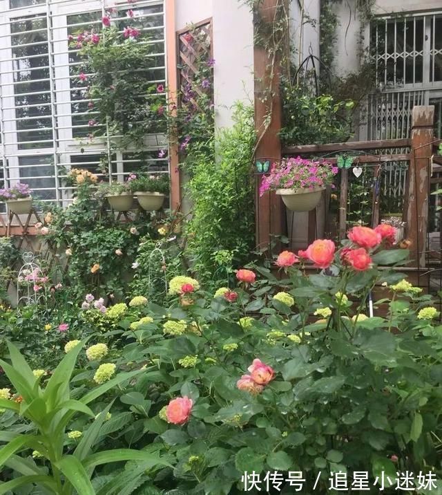 有了30平方的小院,能将日子过成了诗简单而精致,优雅而从容