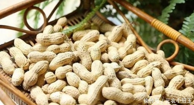 常吃花生比药强!生吃和熟吃,哪个营养价值高?了解一下