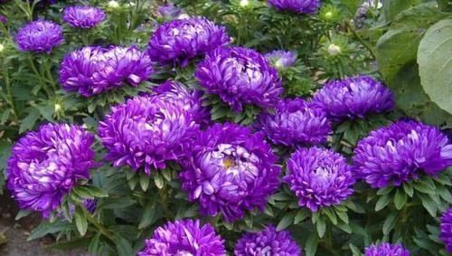 再丑的包包都能用流苏拯救，闲置旧包这样改造，比新买的还美