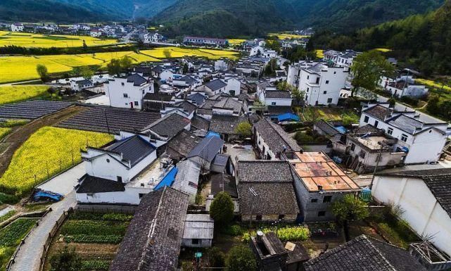 宅基地|农村有房的注意了下半年这5种情况,房子可能会被拆除