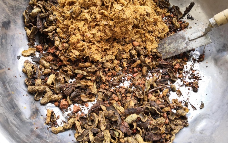 养花肥|这3样东西扔掉太可惜,学会正确方法制成养花肥,省钱、效果好