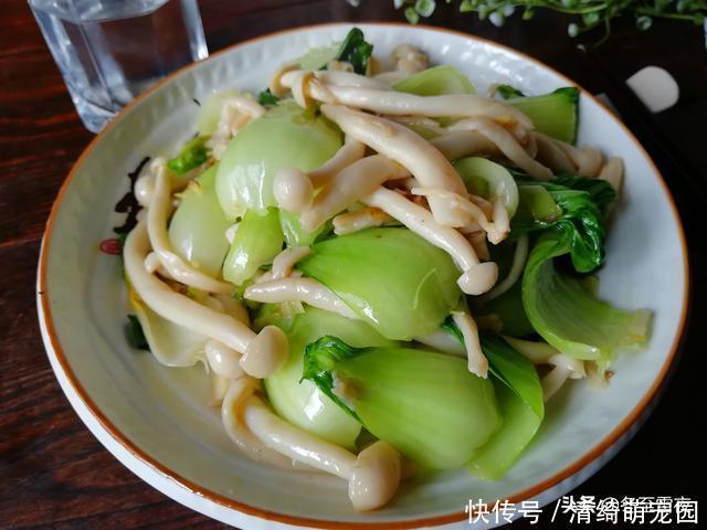 买回家蘑菇不会做,教你12道常见的几种蘑菇做法,补充营养味道鲜