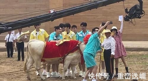 杨洋胡军全部退出！只留王耀庆吴奇隆坚守，《元气满满2》大换血