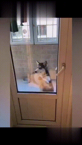 |搞笑GIF：只因在人群中多看了她一眼 结果在医院住了一个月