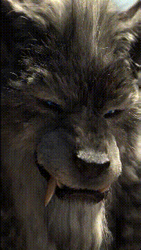 |搞笑GIF:陪女朋友去舞蹈班,我又给她续了一年的会员