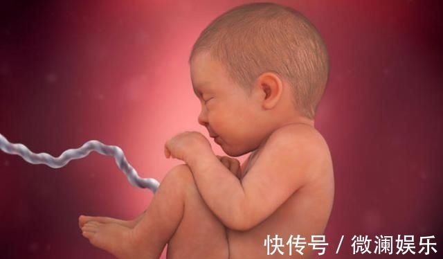 孕妈|组图了解胎儿在子宫中的生长过程，生命太奇妙了！准爸妈们看看