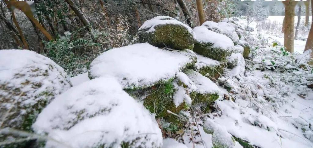 后一|美醉！长沙初雪后一波高颜值照片来袭