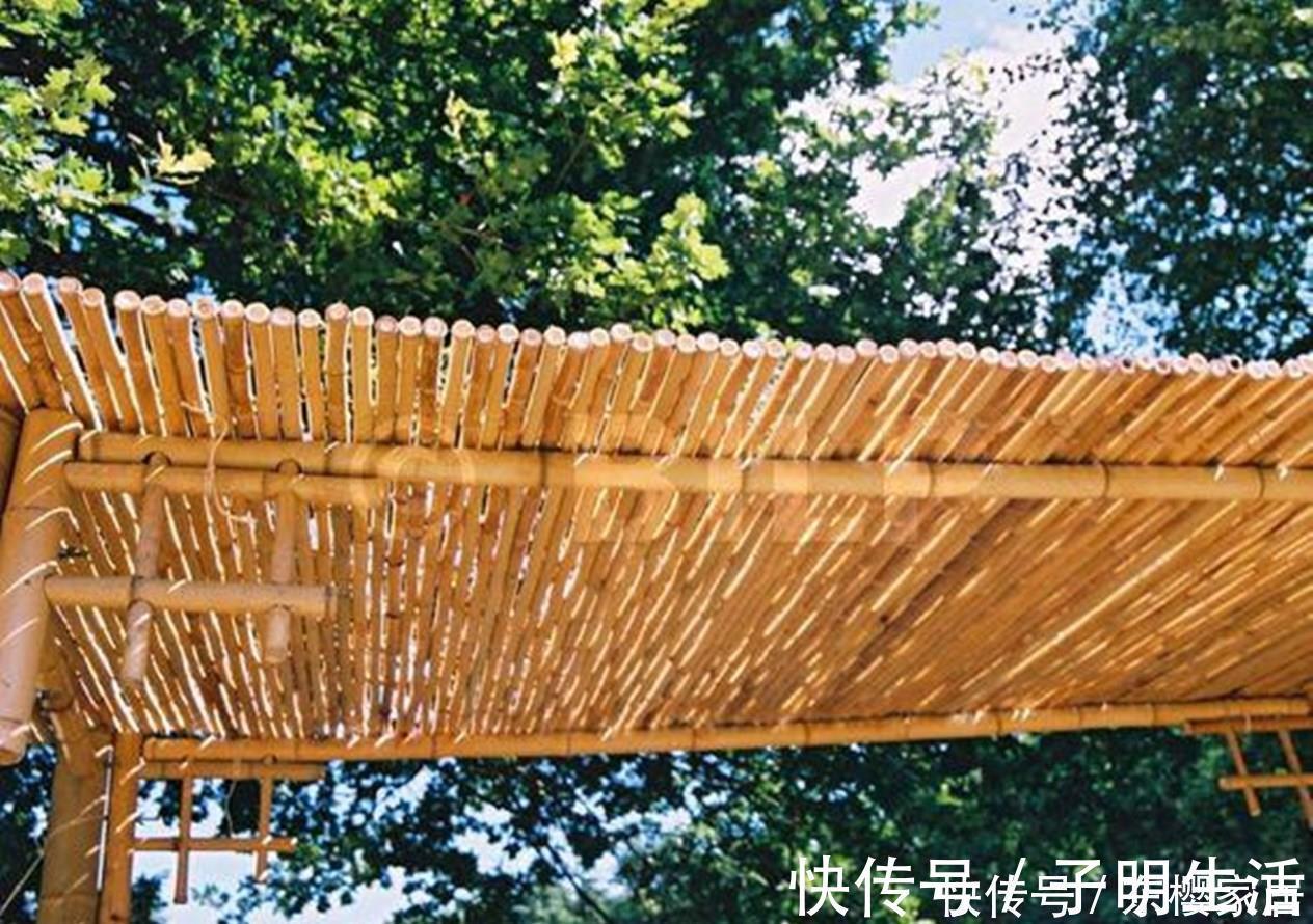 竹子|要是你也有个院子，那就这样设计砍几根竹子撑起一个廊架，闲适