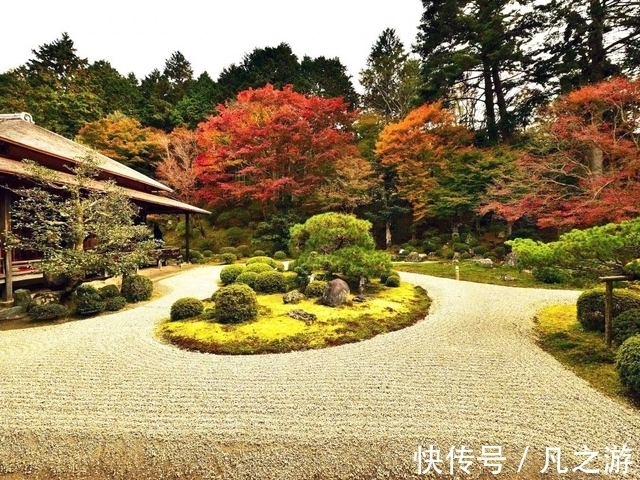 寺院|2021年11月京都红叶观赏信息