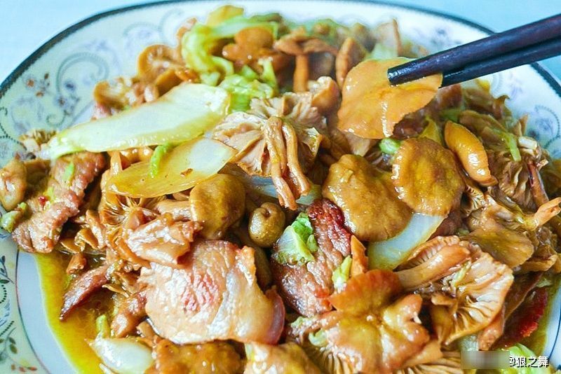 营养物质|生在松林里,曾误认含毒不能吃,如今58元1斤,可惜农村也少见了