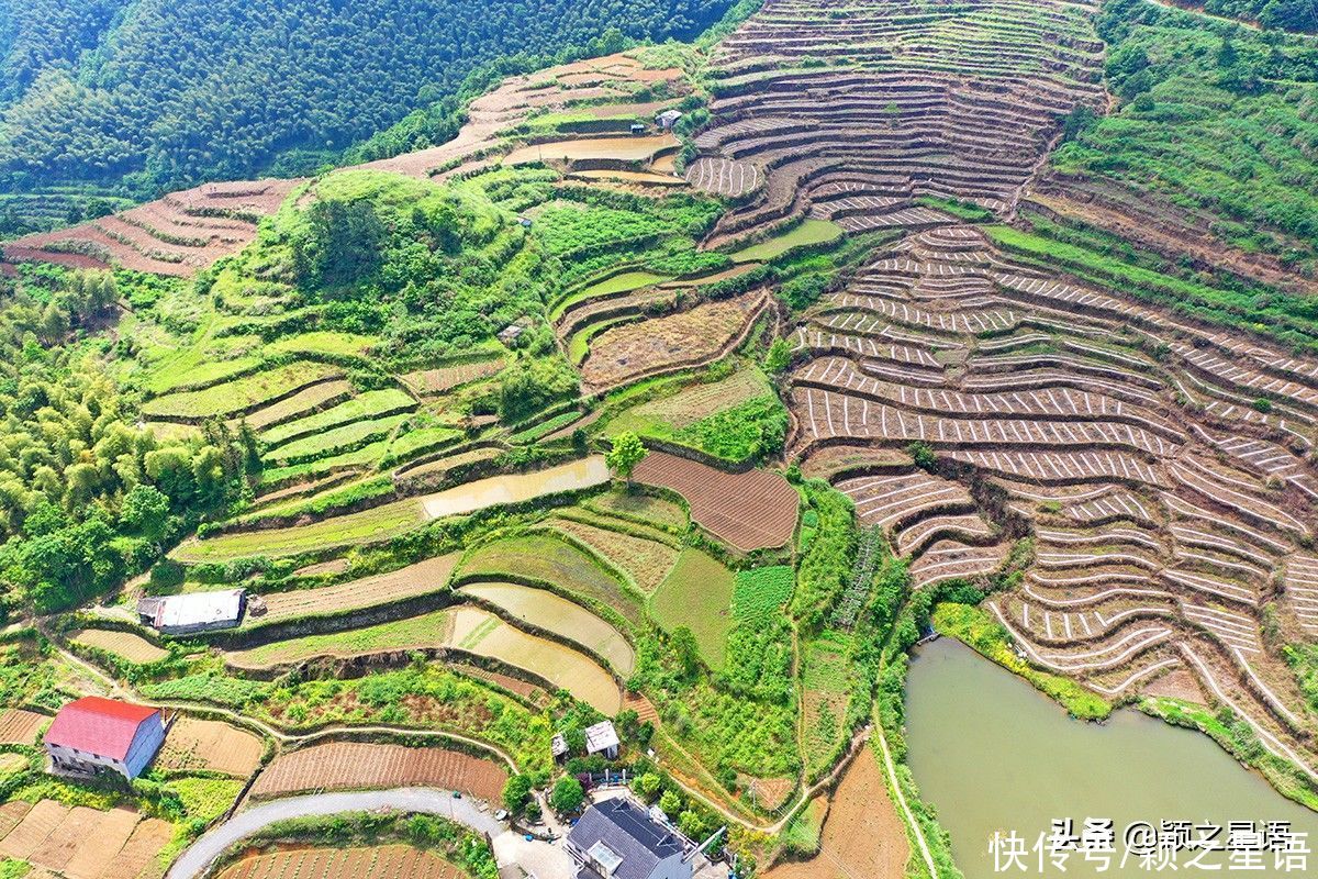 交界地|台州和宁波交界地，紫云山名源于永乐帝朱棣，梯田层叠很壮观