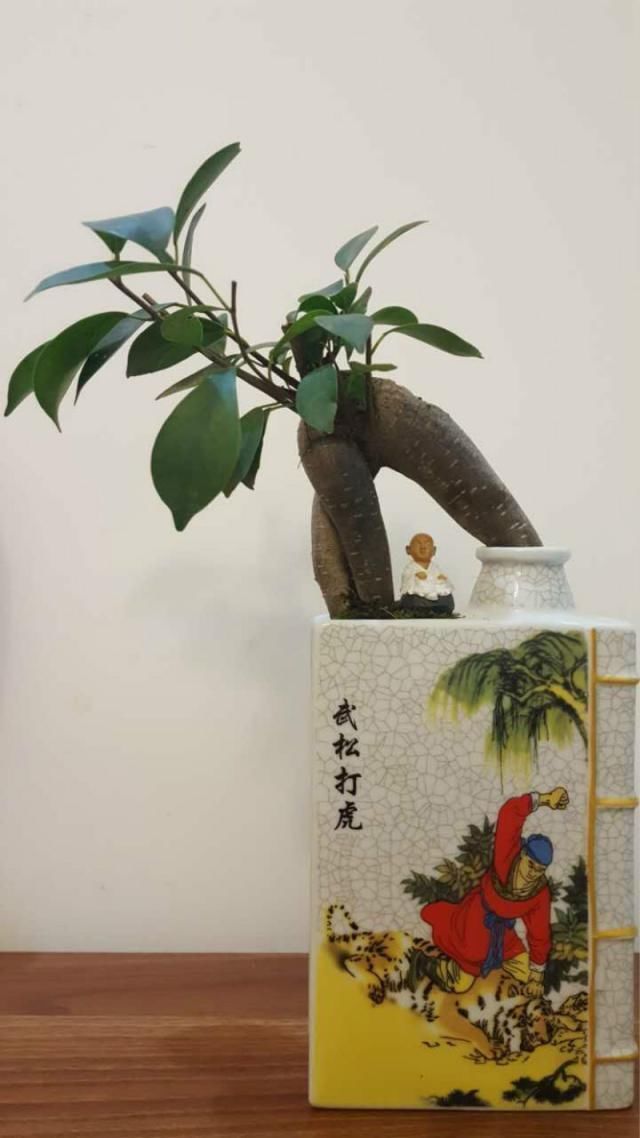 养花不捡垃圾,终究难成大神,绝美花盆统统不用钱