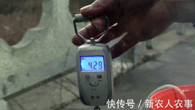 江苏一大爷钓鱼上瘾,严寒中从凌晨守到下午,老伴的做法令人感动