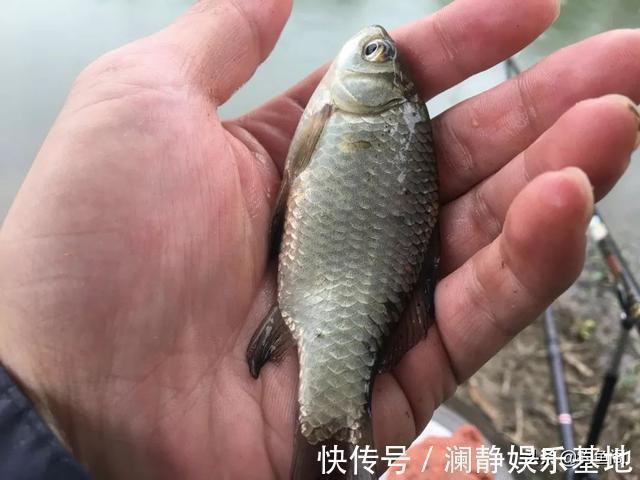 “长子线钝、短子线灵”,野钓该用多长的子线,可别搞错了