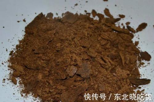 植株|这样给杜鹃花施肥,植株快速生长枝繁叶茂,花大艳丽动人