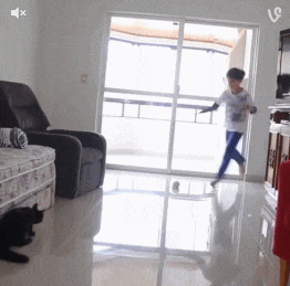 |搞笑GIF趣图:我说怎么有眼睛看着我,原来是你