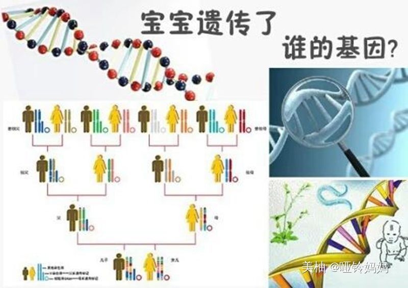 蒙特梭利|孩子什么时间学认字合适?李玫瑾教授:太早教不好,这个年龄最佳