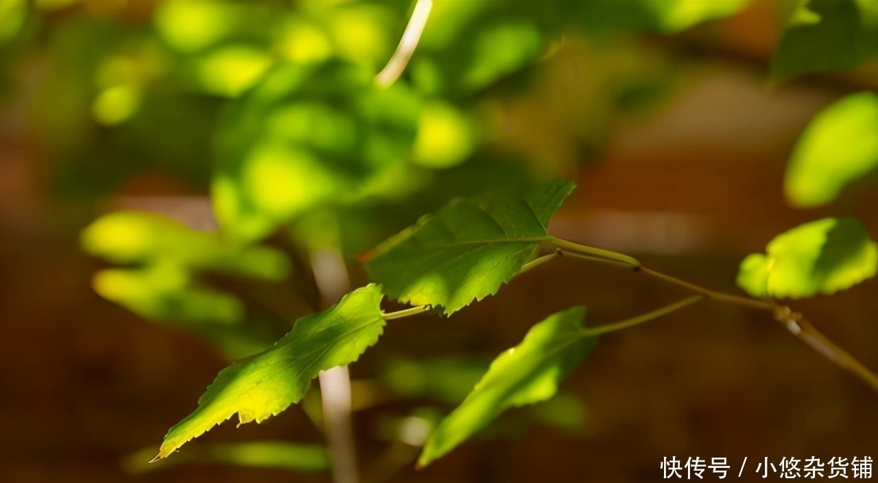 胰岛素|血糖高的人,身体有4个表现,若一个都没有,血糖还算稳定