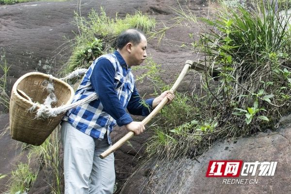 蛇伤|党代表风采丨曾宪国：扎根乡村27年 蛇医“扶伤”也“扶贫”