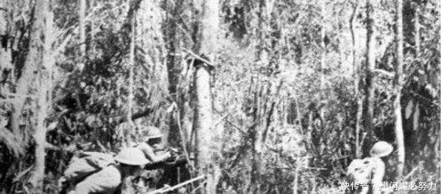 李营长|远征军在山上被日军包围,竟然被一群猴子给救了,气得日军直跺脚!