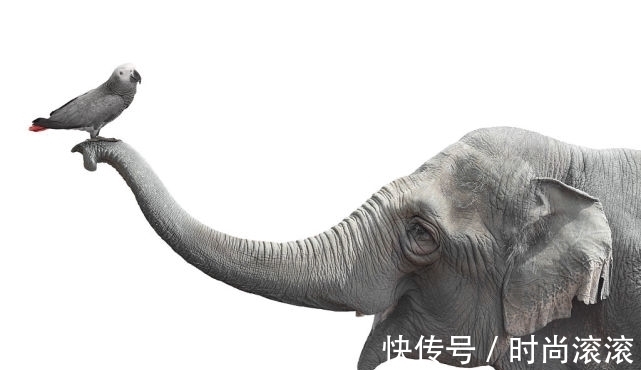 合作|男女有别,恋爱婚姻观不同