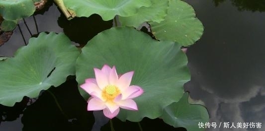 生肖|10月29号开始，财运逆天，横财追着跑，三番五次中大奖的生肖