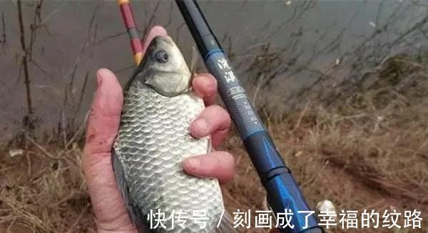 渔获|老钓手果然没吹牛，野钓鲫鱼只要用上这四招，天天去钓都不过瘾