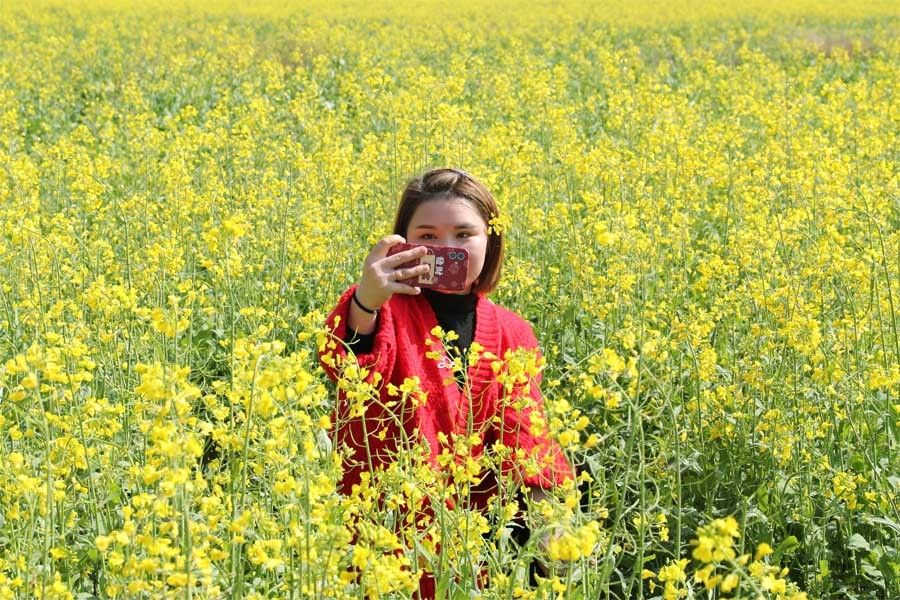 老年|醉美春色！福建武夷山500亩油菜花开景如画