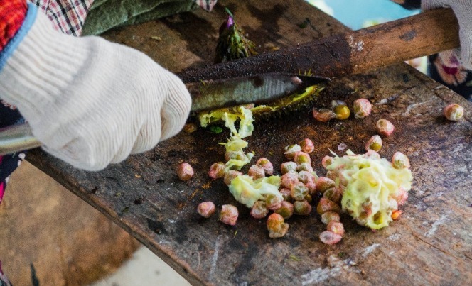 秋季|秋季进补，建议多吃这些特色食品，营养美味又便宜，你吃过几样