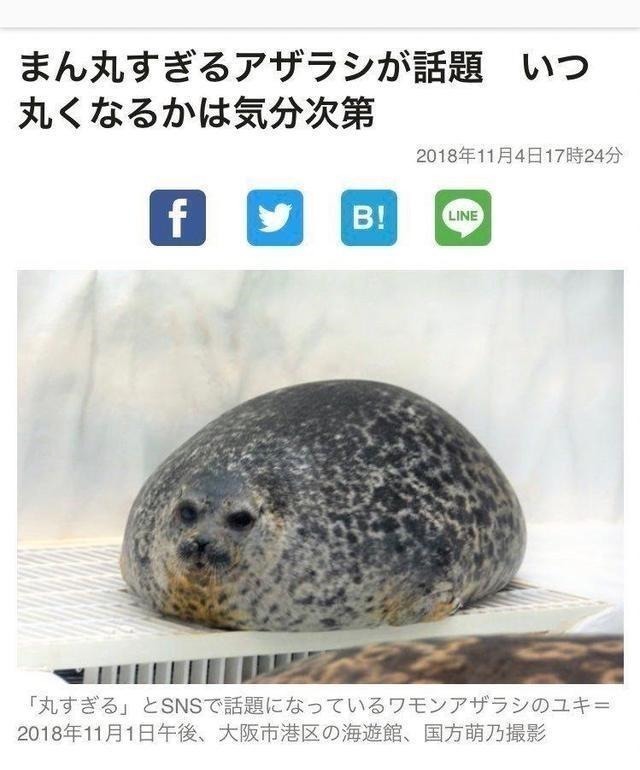 gt小长假不看点沙雕图怎么过!这世上竟有如此沙雕的手办!