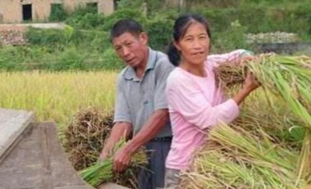 白忙|老祖宗的忠告“人贪三样,一生白忙”,是哪三样越早明白越好