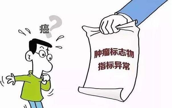 标记物|肿瘤标记物升高就是生病么?快来了解一下标记物家族