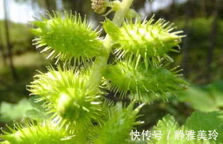 排毒|爱美女性要多吃3种食物，排毒养颜、改善体质，早吃早好！