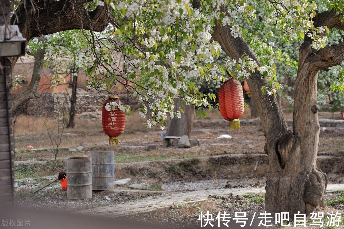 青城|黄河边上的古镇，名气小却敢和周庄比美！以前很辉煌，现在很神秘