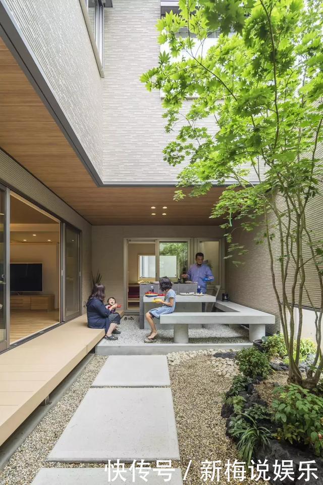 庭院种什么树好有些树真不能乱栽