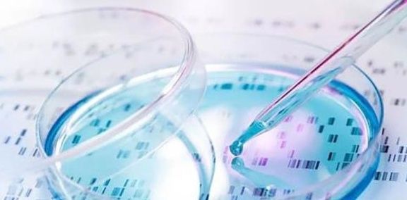 怀孕|怀孕8个月,老婆就生下了宝宝,丈夫:这是亲生的?