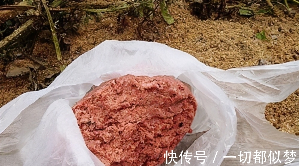 开饵|蓝鲫开饵这么用，渔获至少多两成