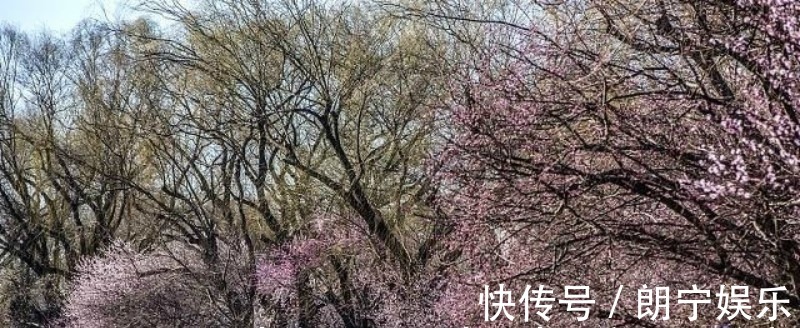 杨万里@范成大最经典的一首六言绝句,同样也被低估了,通篇美得令人心醉